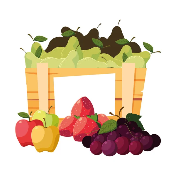 Fruits frais dans un panier en bois — Image vectorielle