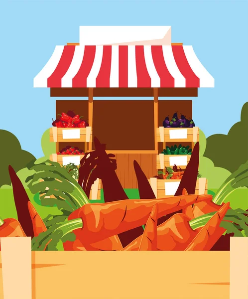 Verkaufsstand mit Gemüsemöhren im Holzkorb — Stockvektor