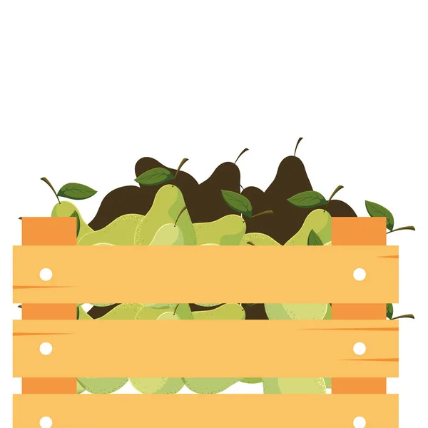 Boîte de supermarché aux fruits frais poires — Image vectorielle