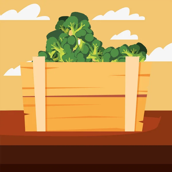 Frischer Gemüsebrokkoli im Holzkorb — Stockvektor