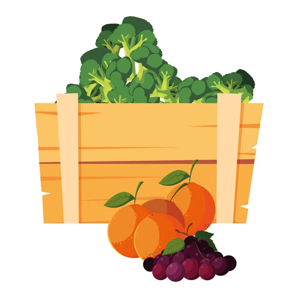Brócolis vegetal fresco em cesta de madeira —  Vetores de Stock