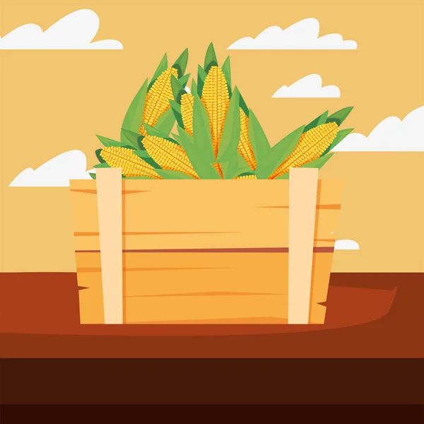 Maïs végétal frais dans un panier en bois — Image vectorielle