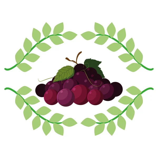 Grapes fresh fruit emblem organic — Stock Vector