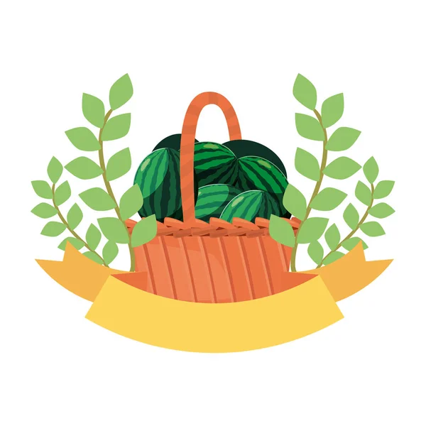 Pastèque dans le panier emblème de fruits frais — Image vectorielle