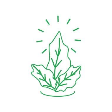 yapraklar doğal ekoloji izole simgesi