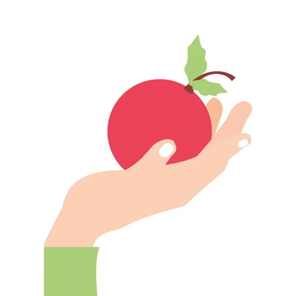 Hand with fresh cherry fruit isolated icon — Stock Vector