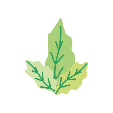yapraklar doğal ekoloji izole simgesi