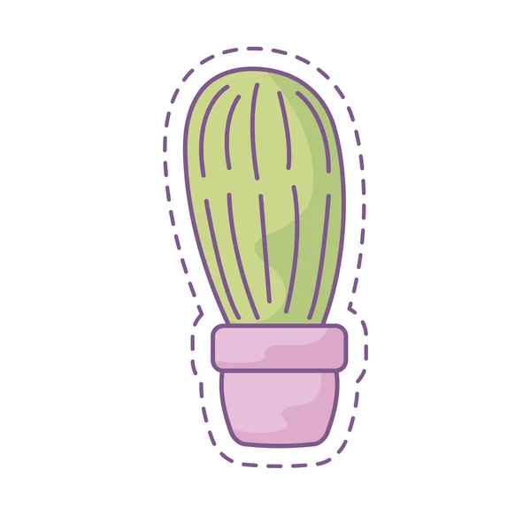 Patch of cactus in pot plant — Stock Vector