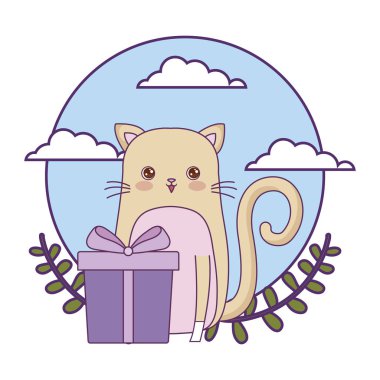 hediye kutusu ile sevimli kedi hayvan