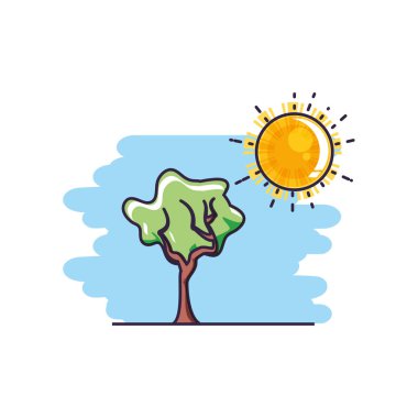 güneş ile ağaç bitki doğa