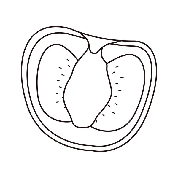 Tranche de tomate icône de cuisson sur fond blanc — Image vectorielle