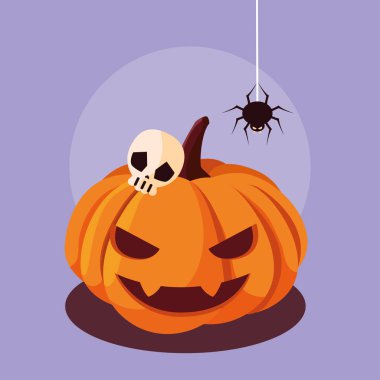 örümcek ve kafatası ile halloween kabak