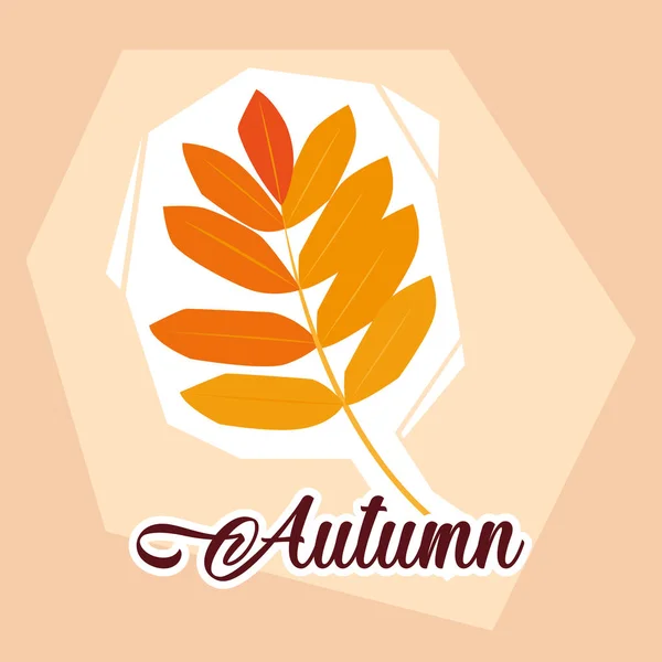 Hello autumn poster with branch and leafs — Stock Vector