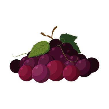 üzüm taze meyve demet