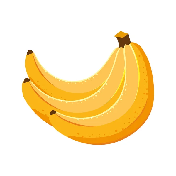 กล้วยผลไม้สดในพื้นหลังสีขาว — ภาพเวกเตอร์สต็อก
