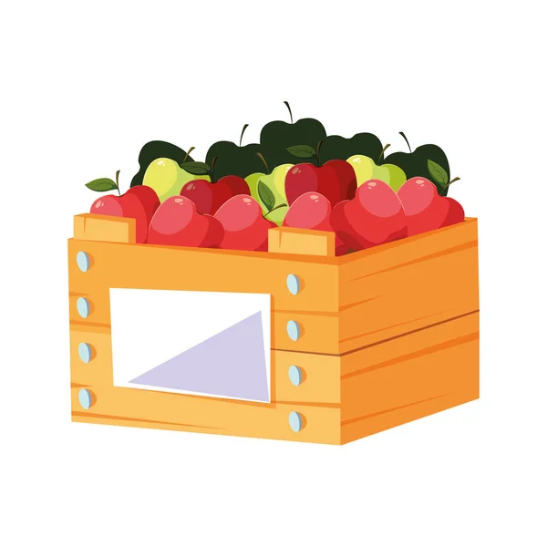 Maçãs de frutas frescas em cesta de madeira —  Vetores de Stock