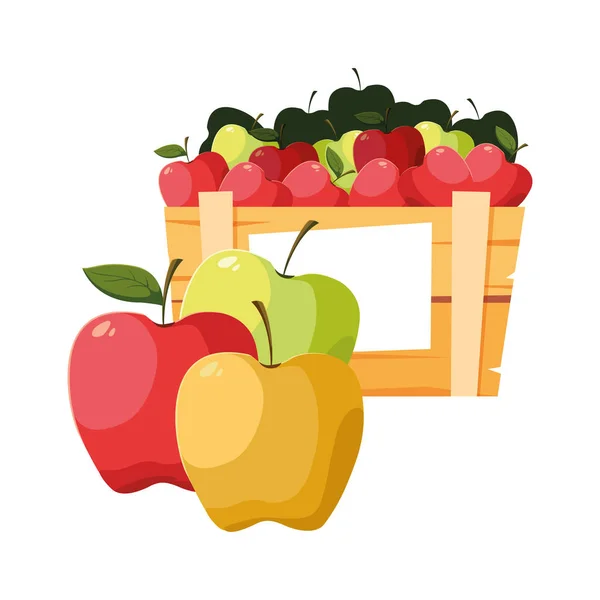 Färska frukter äpplen i träkorg — Stock vektor