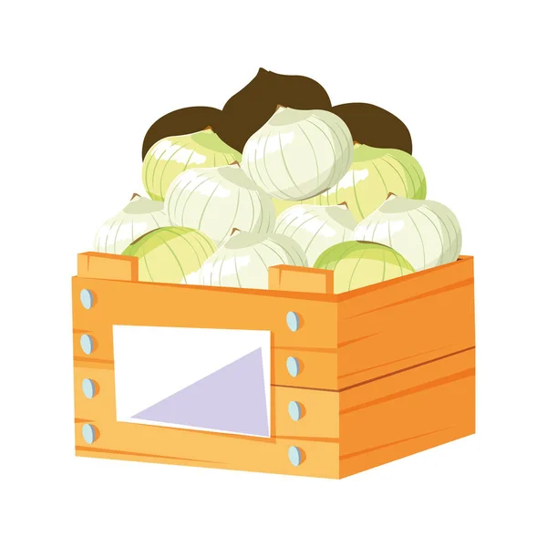Cebollas vegetales frescas en cesta de madera — Vector de stock