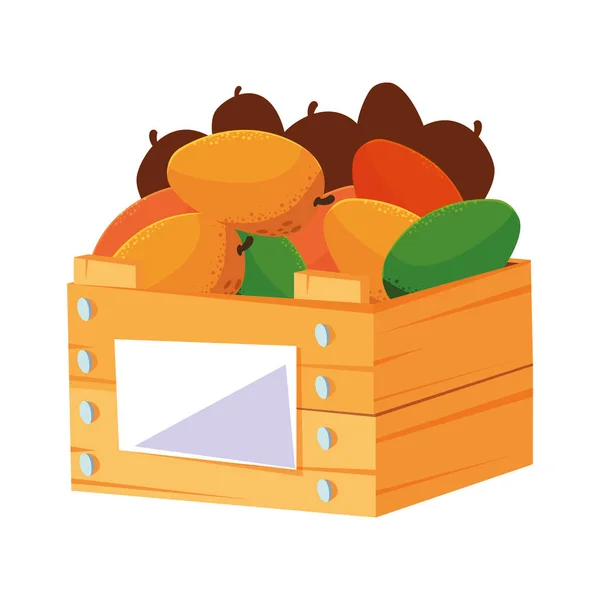 Fresh fruits mangoes in wooden basket — Stock Vector