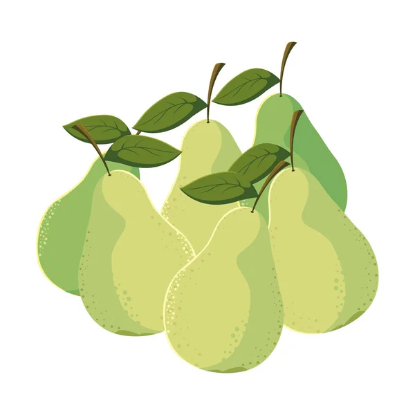 Αχλάδια νωπά φρούτα σε λευκό φόντο — Διανυσματικό Αρχείο