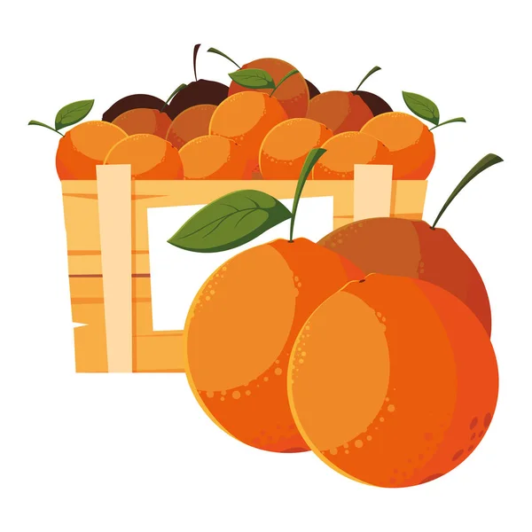 Frutas frescas en canasta de madera naranjas — Vector de stock