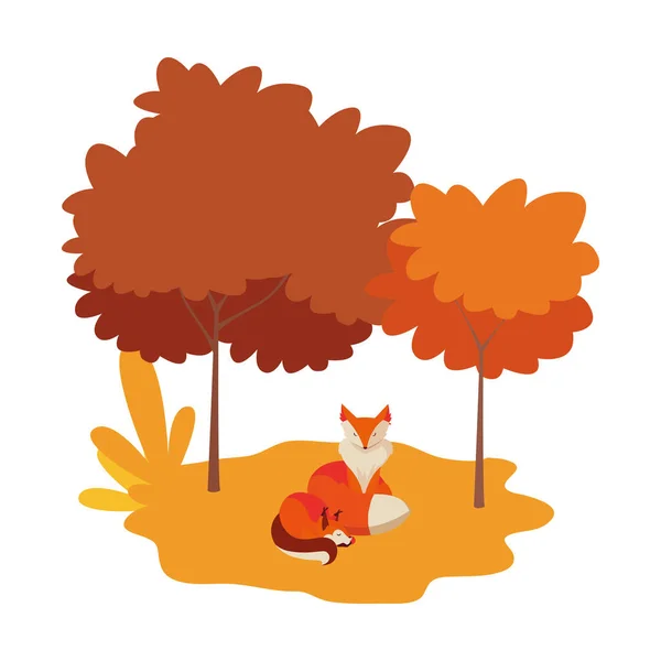 Αλεπούδες θηλαστικό χαρούμενη φθινοπωρινή σεζόν επίπεδη σχεδίαση — Διανυσματικό Αρχείο