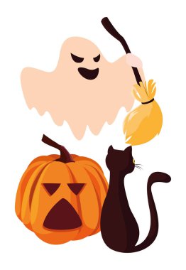 kabak kedi mutlu cadılar bayramı kutlaması