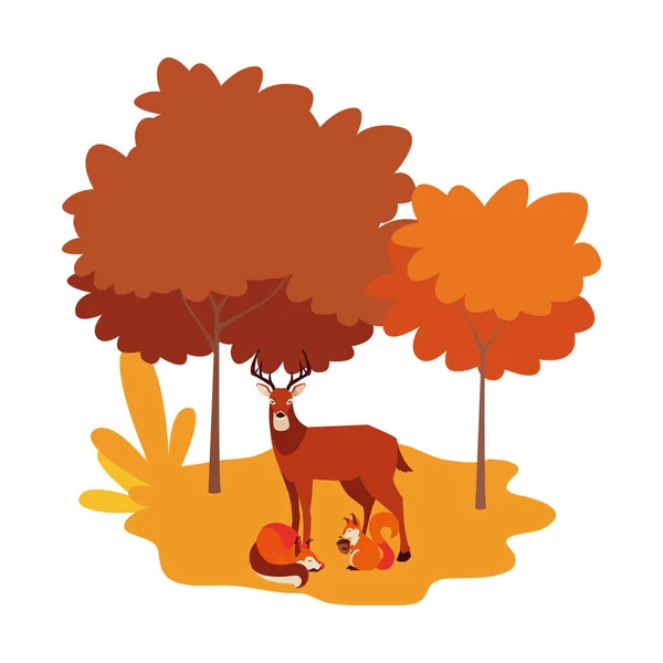 Ελάφι αλεπού και σκίουρος χαρούμενη φθινοπωρινή σεζόν — Διανυσματικό Αρχείο