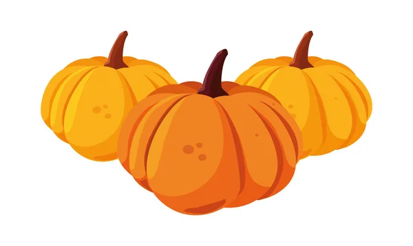 Citrouilles heureux Halloween célébration conception — Image vectorielle