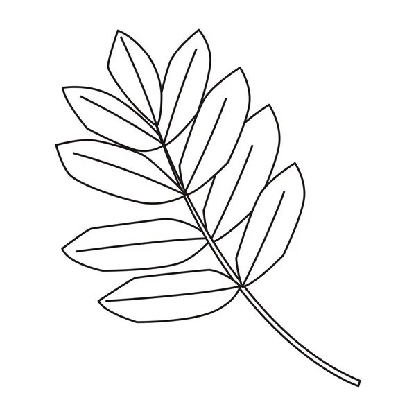 Contorno hojas follaje rama naturaleza diseño — Archivo Imágenes Vectoriales
