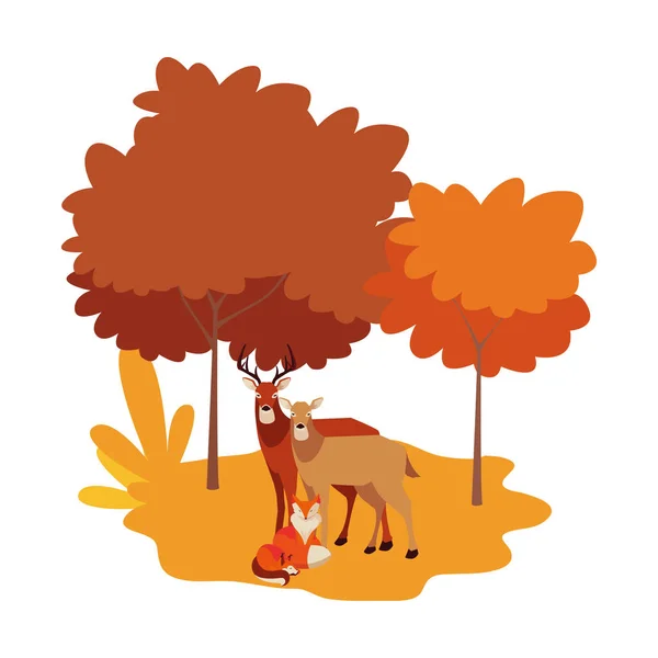 Zorro y ciervos mamífero feliz otoño temporada diseño — Vector de stock