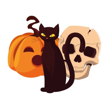 kabak kedi mutlu cadılar bayramı kutlaması