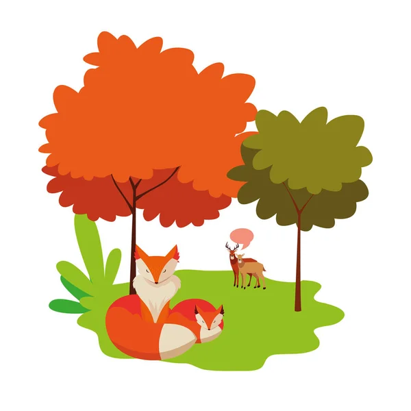 Αλεπούδες και έχουν το ευτυχισμένο φθινοπωρινό σχεδιασμό σεζόν — Διανυσματικό Αρχείο