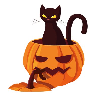 kabak kedi mutlu cadılar bayramı kutlaması