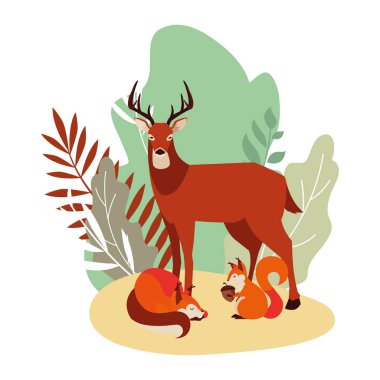 geyik tilki ve sincap mutlu sonbahar sezonu