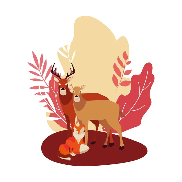 Fox en herten gelukkig herfst seizoen ontwerp — Stockvector
