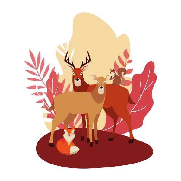 Deers fox and squirrel happy autumn season — Stock Vector