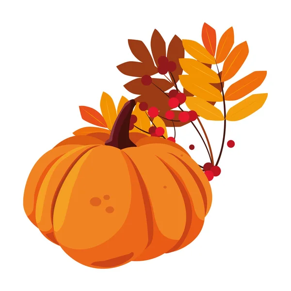 Follaje de calabaza feliz otoño temporada diseño plano — Vector de stock