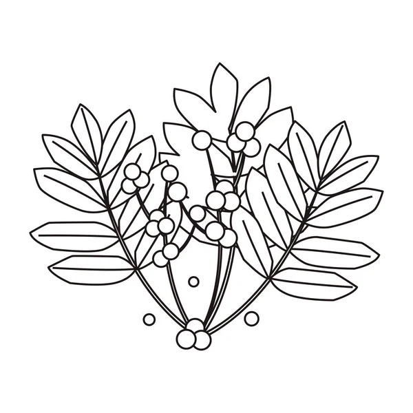 anahat yaprakları yaprakları yeşillik şube doğa tasarımı