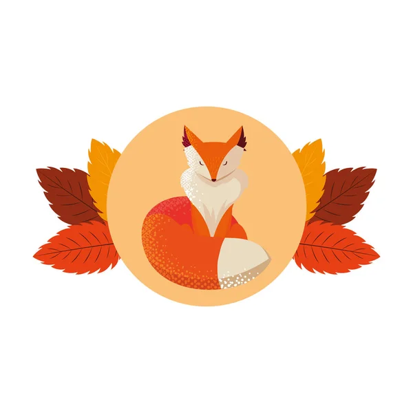 Fox mammal happy autumn season flat design — Stock Vector