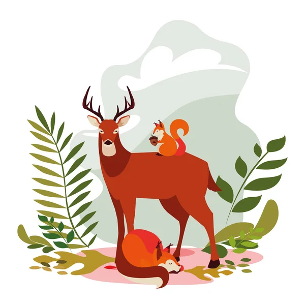 geyik tilki ve sincap mutlu sonbahar sezonu