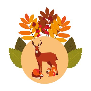 geyik tilki ve sincap mutlu sonbahar sezonu