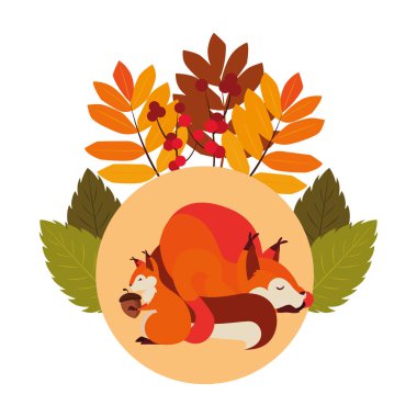 tilki ve sincap mutlu sonbahar sezonu tasarımı