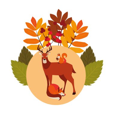 geyik tilki ve sincap mutlu sonbahar sezonu