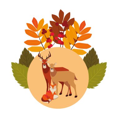 geyikler tilki ve sincap mutlu sonbahar sezonu