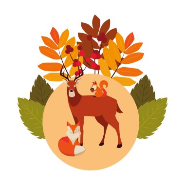 geyik tilki ve sincap mutlu sonbahar sezonu