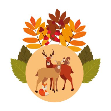 geyik tilki ve sincap mutlu sonbahar sezonu