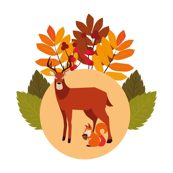 Jelenie i wiewiórka szczęśliwy jesień sezon projekt — Wektor stockowy