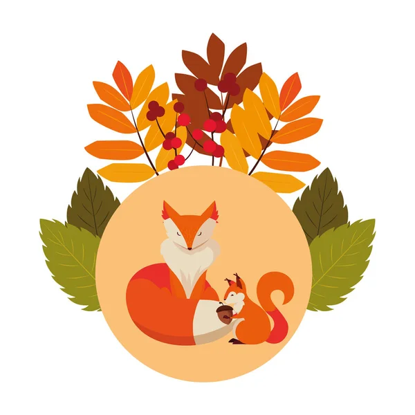 Fox och Squirrel Happy höstsäsong design — Stock vektor