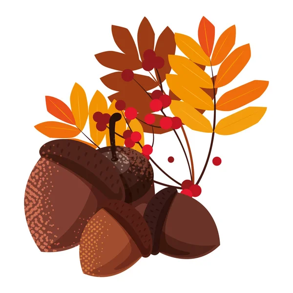 Желуди листвы счастливый дизайн осеннего сезона — стоковый вектор